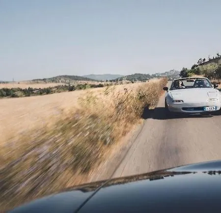 Bed and breakfast Miataland