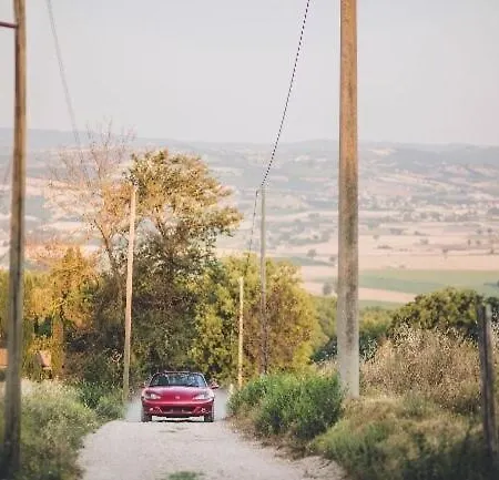 Miataland Collazzone