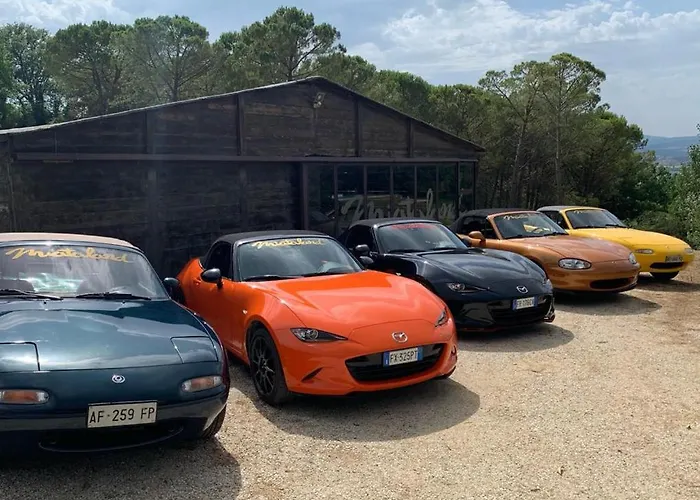 Miataland Collazzone