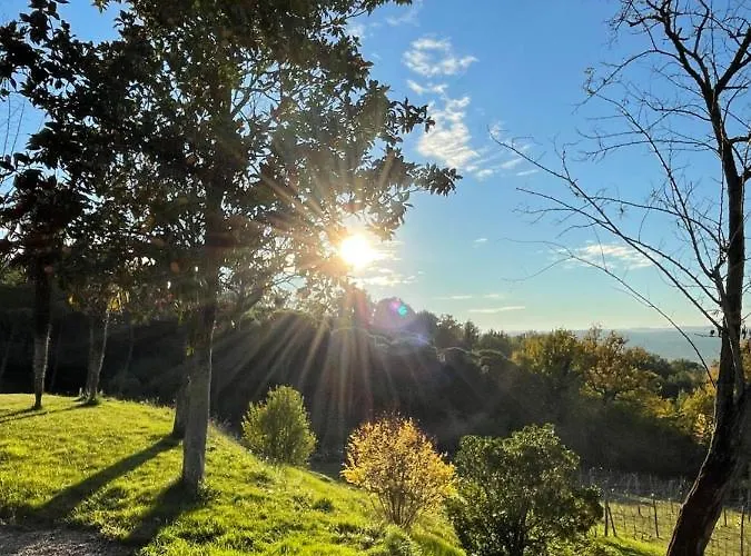 Bed and breakfast Miataland 4*