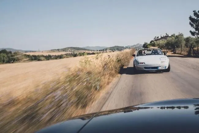 Bed & Breakfast Miataland